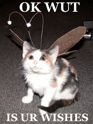 cat-fairy.jpg