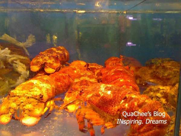 <br />taiwan food, seafood, lobster