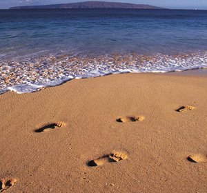 [beach-footsteps-stock.jpg]