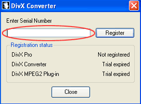 Windows DivX Pro serial