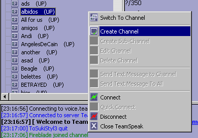 [TeamSpeak+-+02+-+Create+Channel.png]