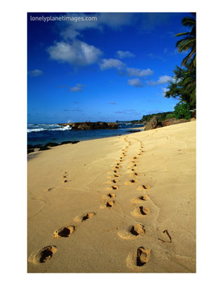[BN13914_144~Footprints-in-the-Sand-on-the-North-Shore-Oahu-Hawaii-USA-Posters.jpg]
