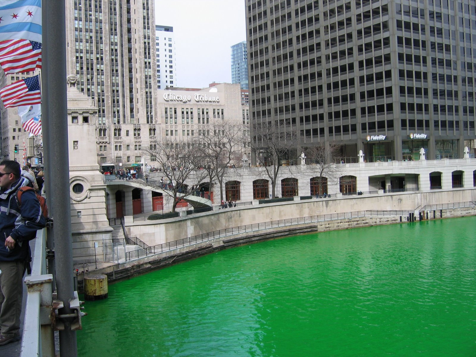 [Green+and+Chicago+Tribune.JPG]