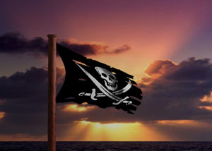 [pirate_flag.jpg]