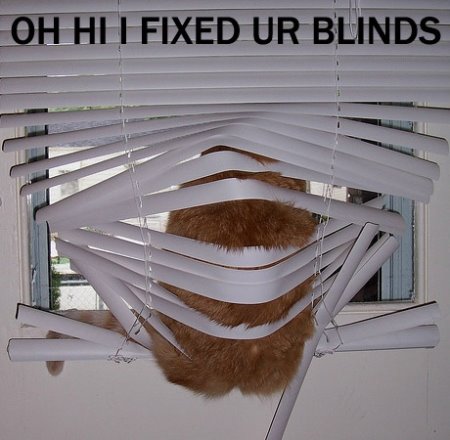 [blinds.jpg]