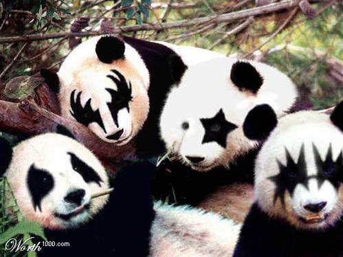 [Virus+Panda,imagen57ov4.jpg]