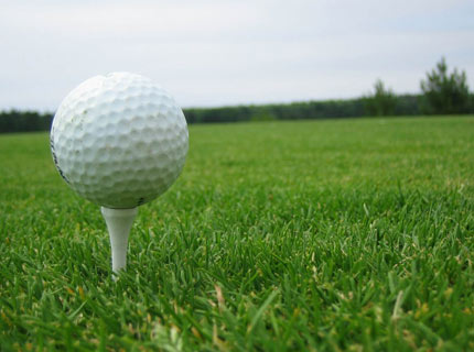 [golf_ball.jpg]