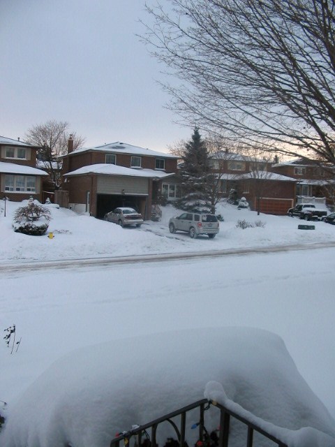 [Dec+Snow+2007+004.JPG]