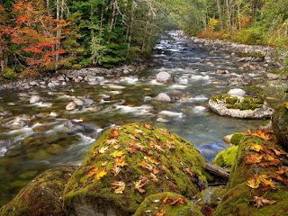 DUVAR KAITLARI Beckler+River,+Cascade+Mountains,+Washington-794106