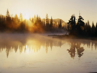 DUVAR KAITLARI Fog+Over+Reflection+Lake+at+Sunrise,+Mount+Rainier+National+Park,+Washington-739242