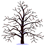 [season_tree.gif]