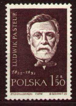 [Pasteur+Polonia.jpg]