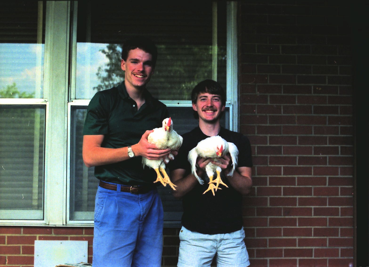 [bill_gramley_terry_swaim_and_two_of_three_chickens.jpg]