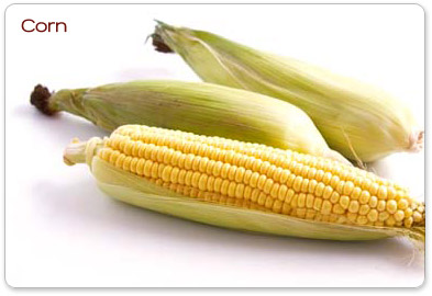 [big_corn.jpg]