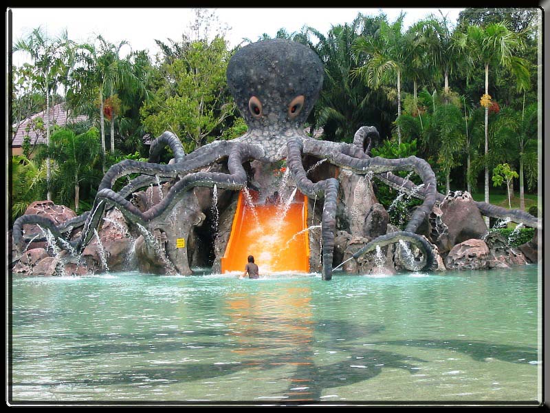 Man-made octopus at the Mountain Springs Pool