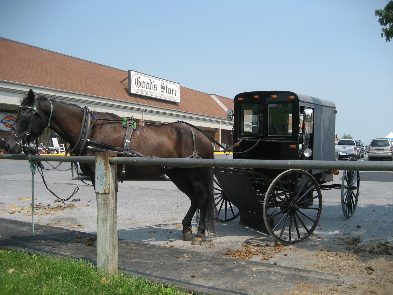 [Amish+buggy+2.JPG]