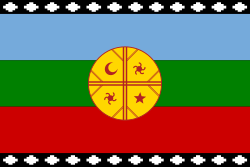 [250px-Flag_of_the_Mapuches_svg.png]