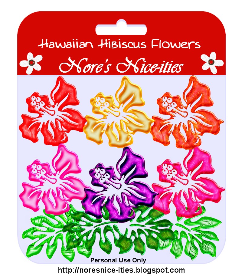 [njs_hawaiianhibiscusflowers_preview.jpg]