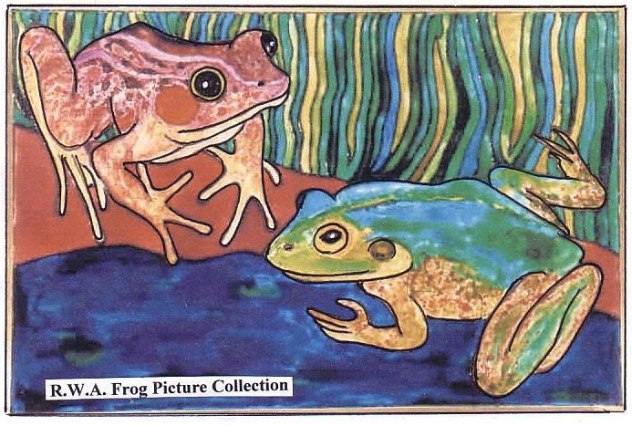 [frog2.jpg]