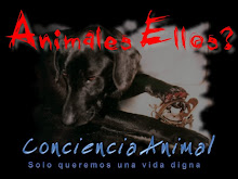 No al maltrato a los animales!!!!