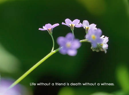 quotes about life. Life without a friend is death