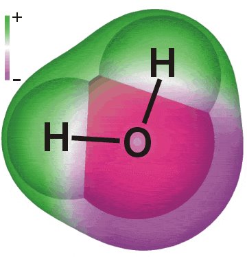 H2O - molecule