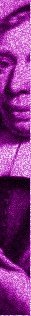 [purple brakel.jpg]