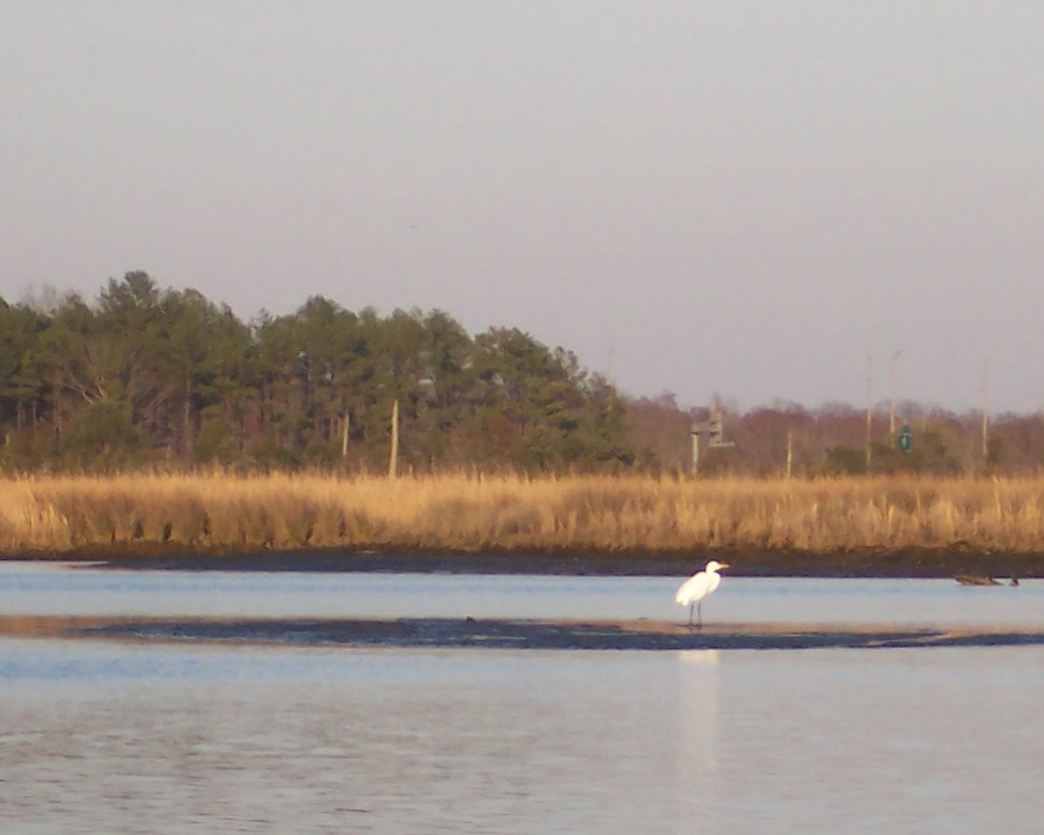 [2008.03.13+Canoe+Launch+(15).JPG]
