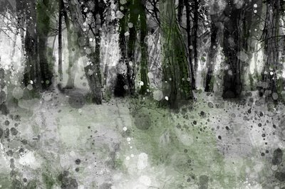 [bosque+encantado72.jpg]