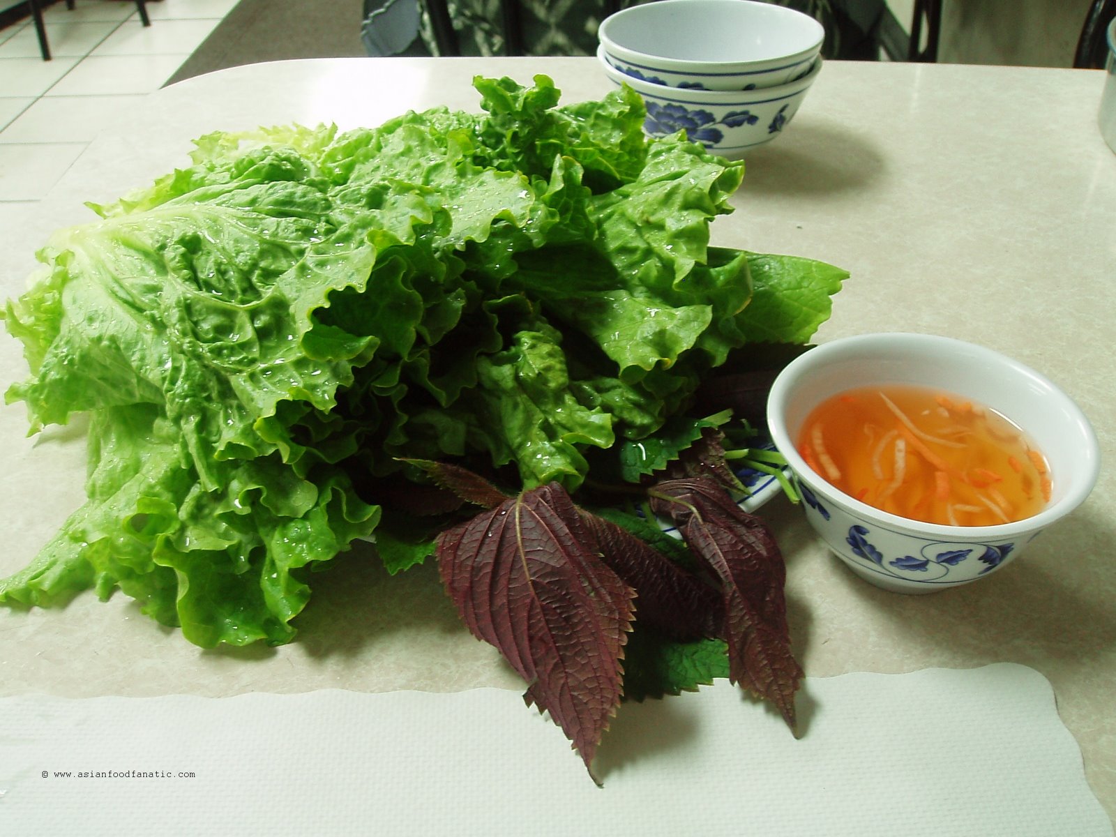 [lettuce_leaves.jpg]