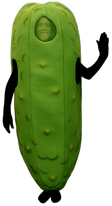 [pickle.jpg]
