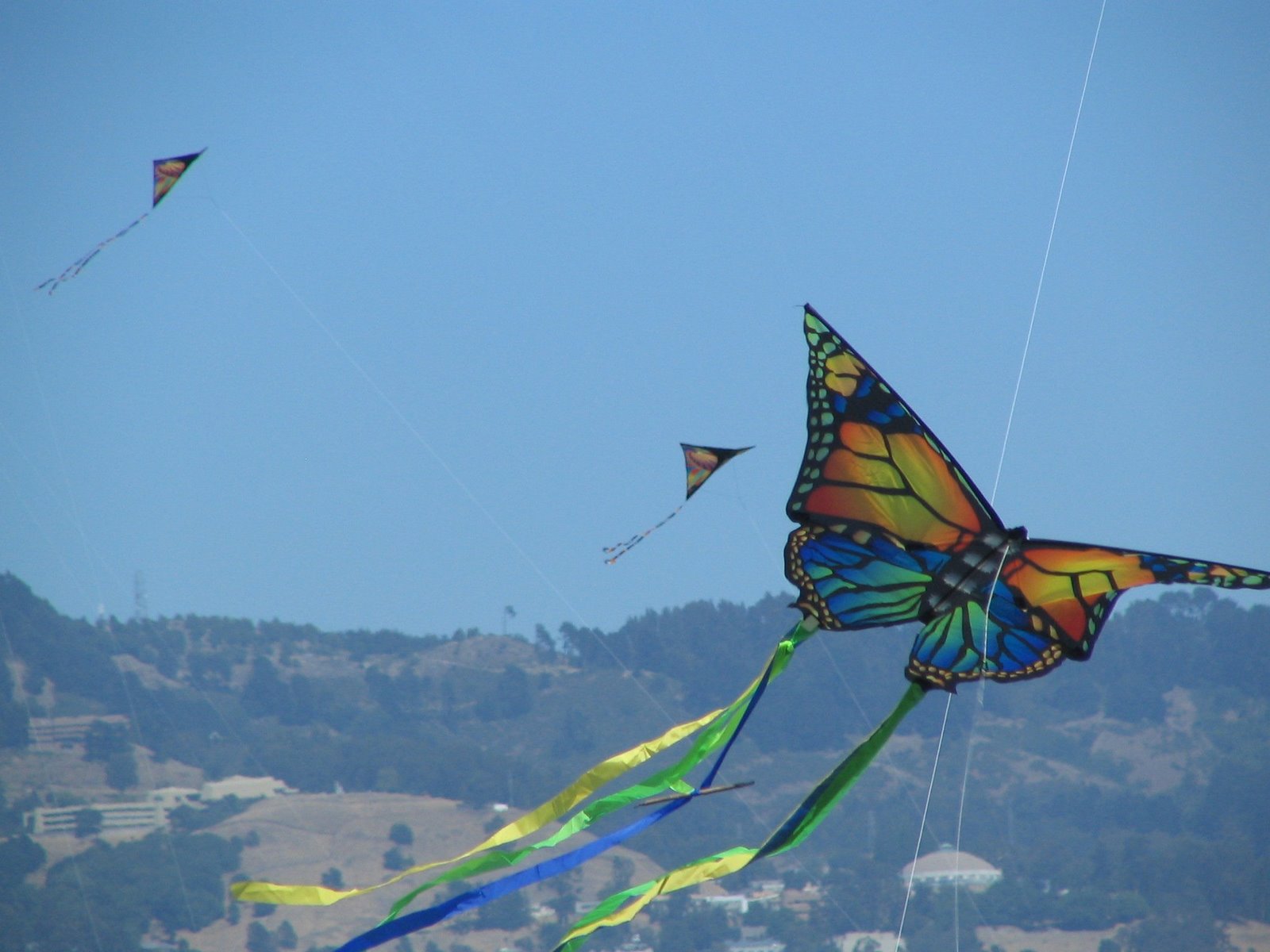 [Kite+Festival+butterfly+&+hills.jpg]