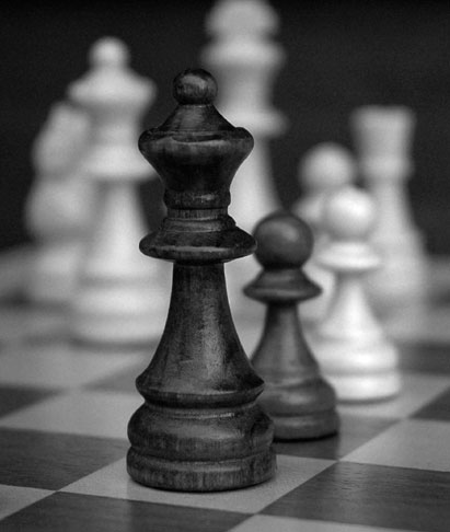 [chess+piece.jpg]