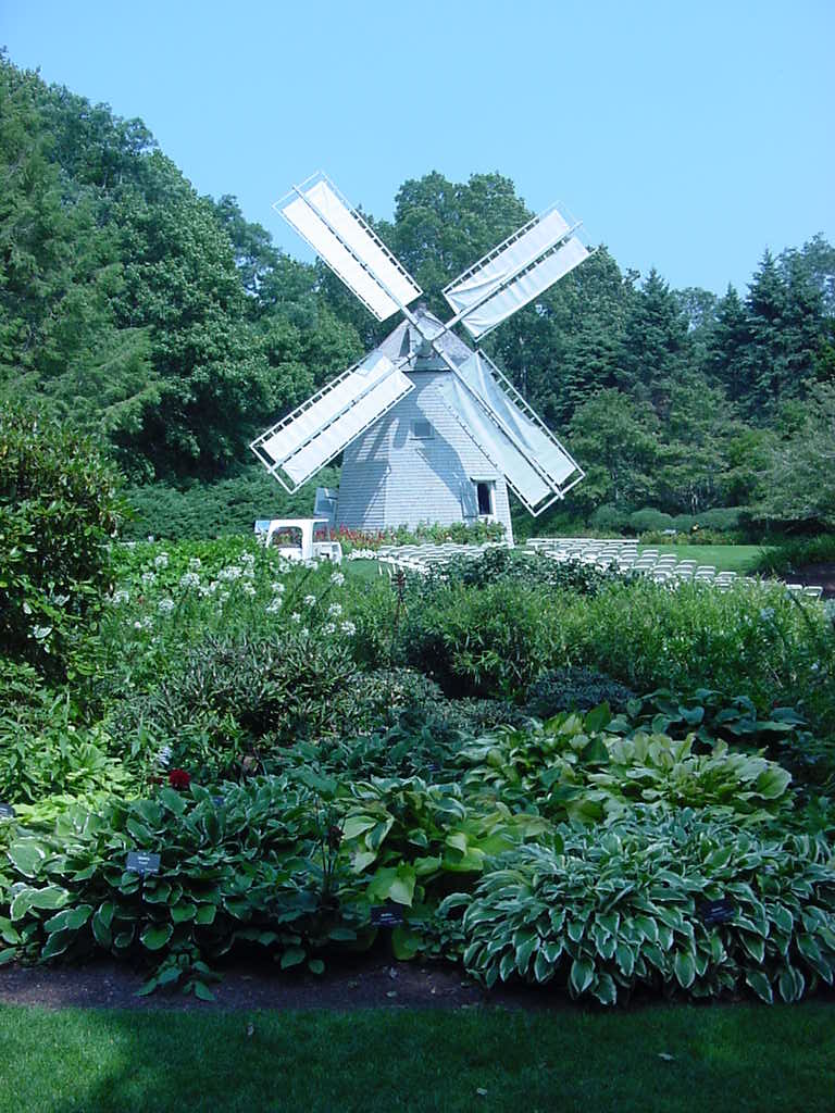 [windmill.jpg]