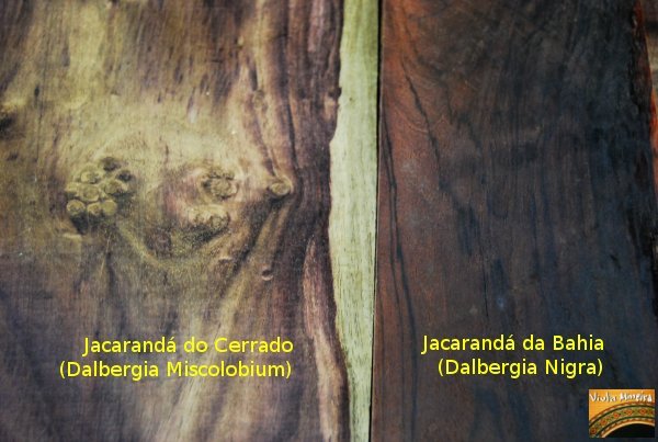 [JacarandÃ¡+Rosewood+Dalbergia.jpg]