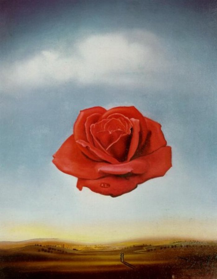 [rosa+meditativa+(1958)+.jpg]