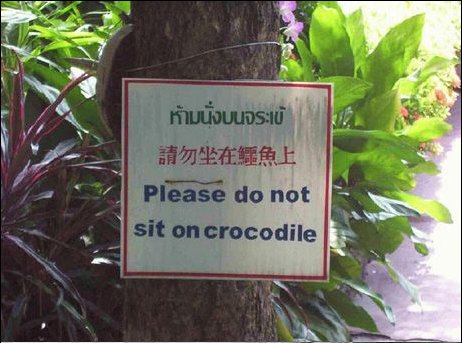 [sentar+no+crocodilo.jpg]