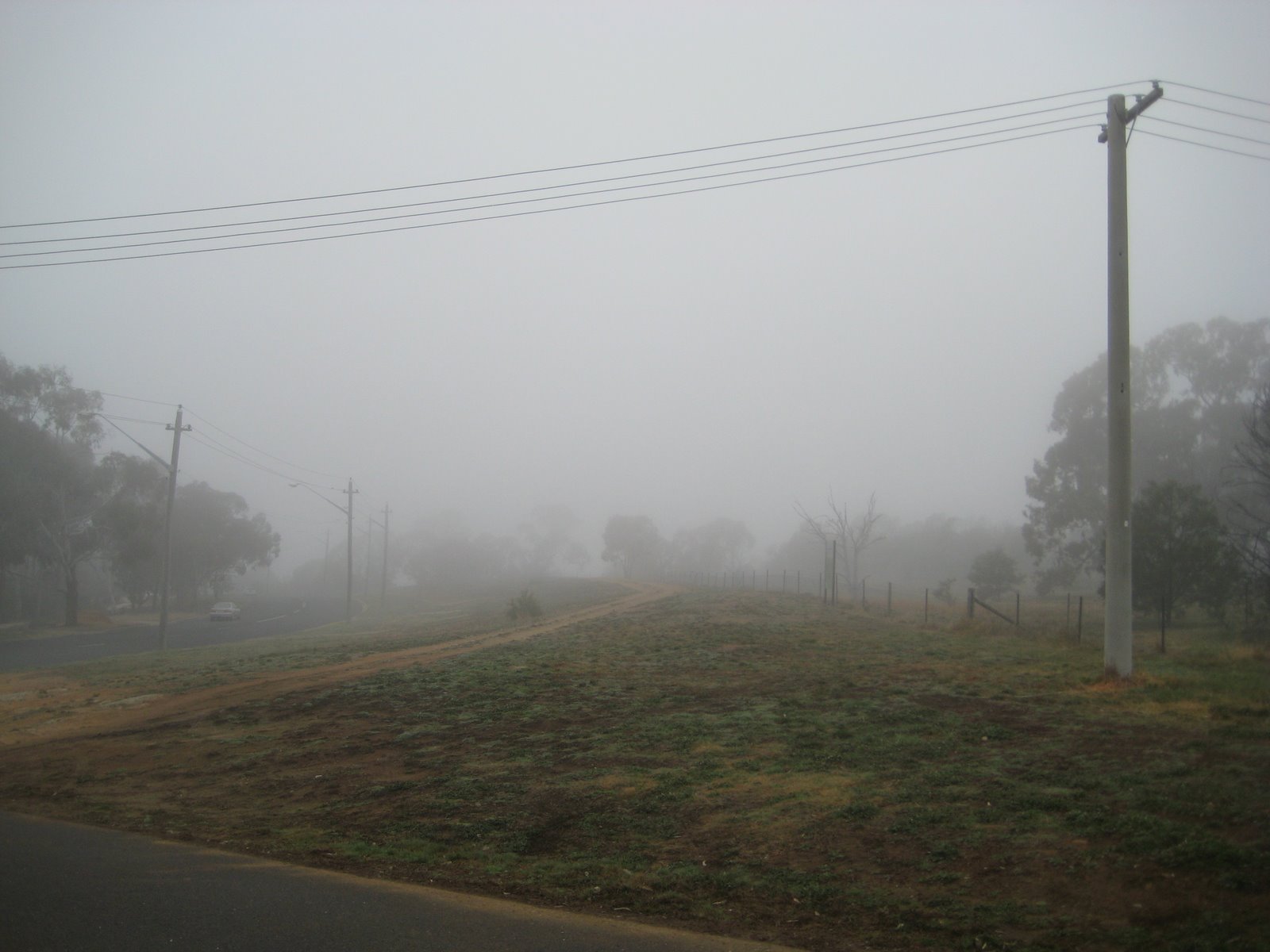 [Foggy+day+in+Canberra.jpg]