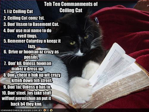 [funny-pictures-ten-commandments-of-ceiling-cat.jpg]