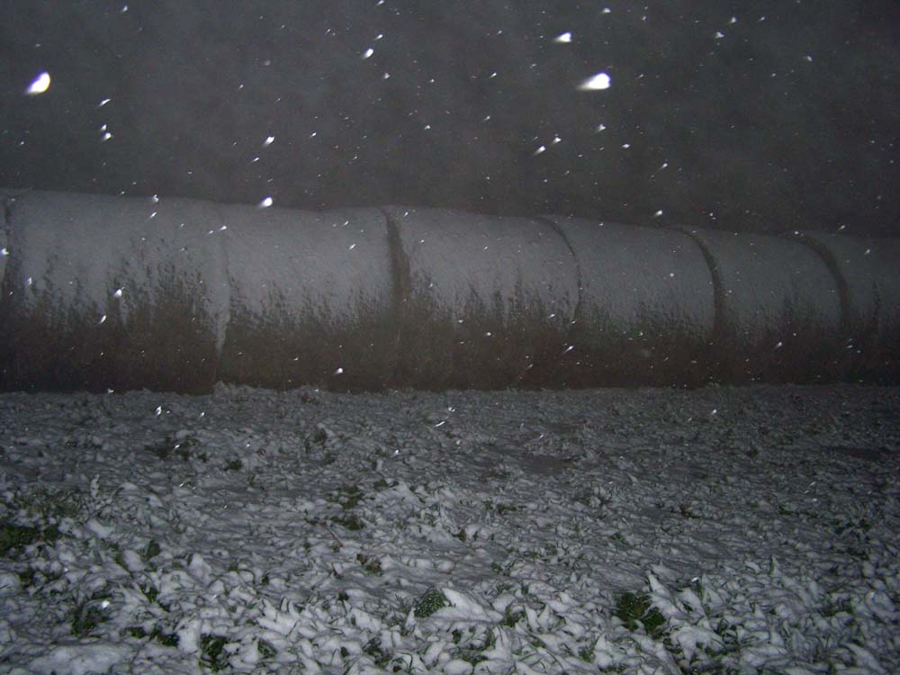 [snowy+hay.jpg]
