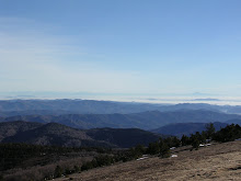 Vue panoramique depuis l''Aigoual.
