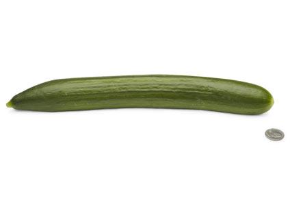 [26-english-cucumber.jpg]
