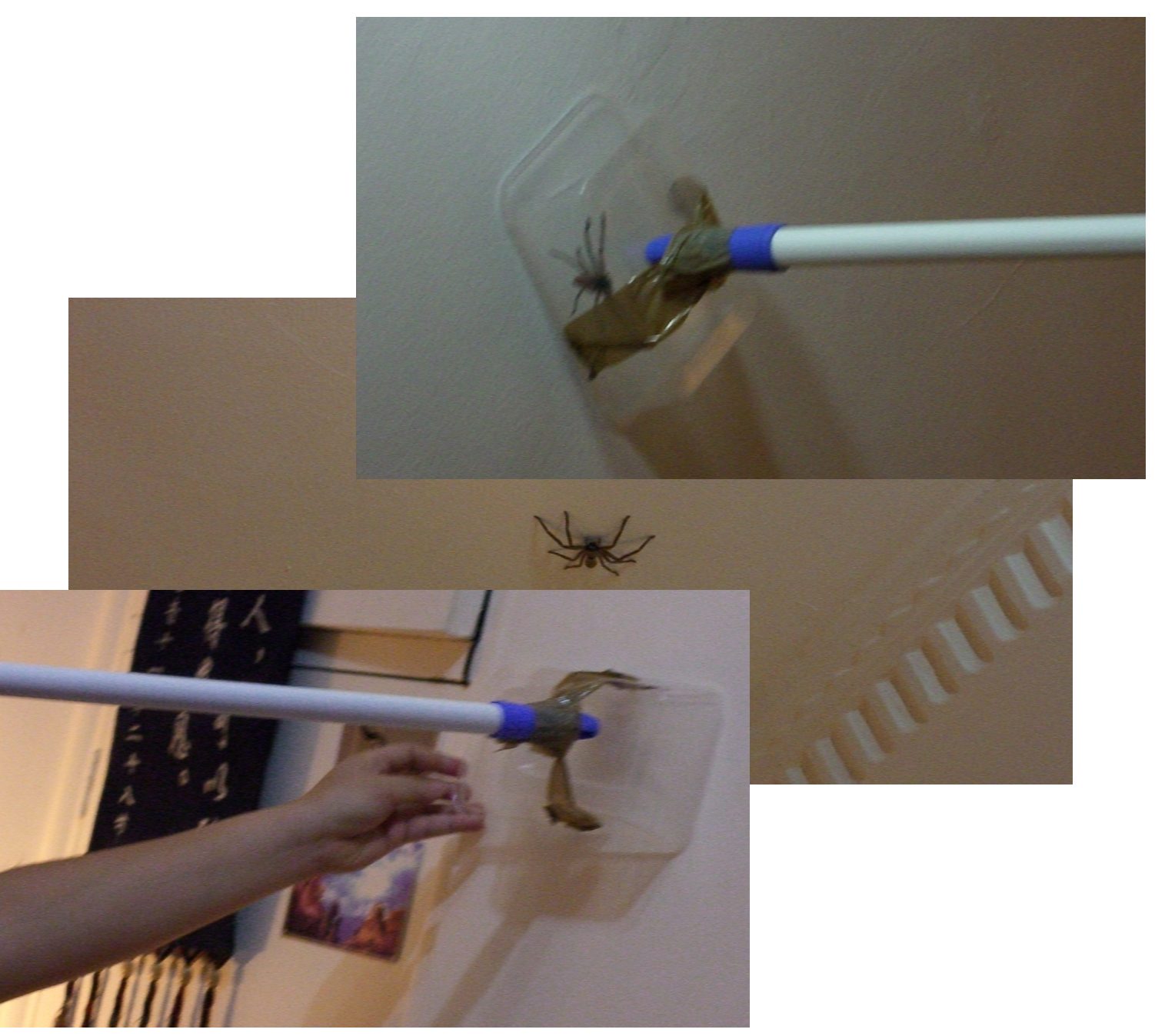 [spider+attack.jpg]