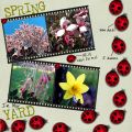 [Spring_in_my_Yard_2007.jpg]