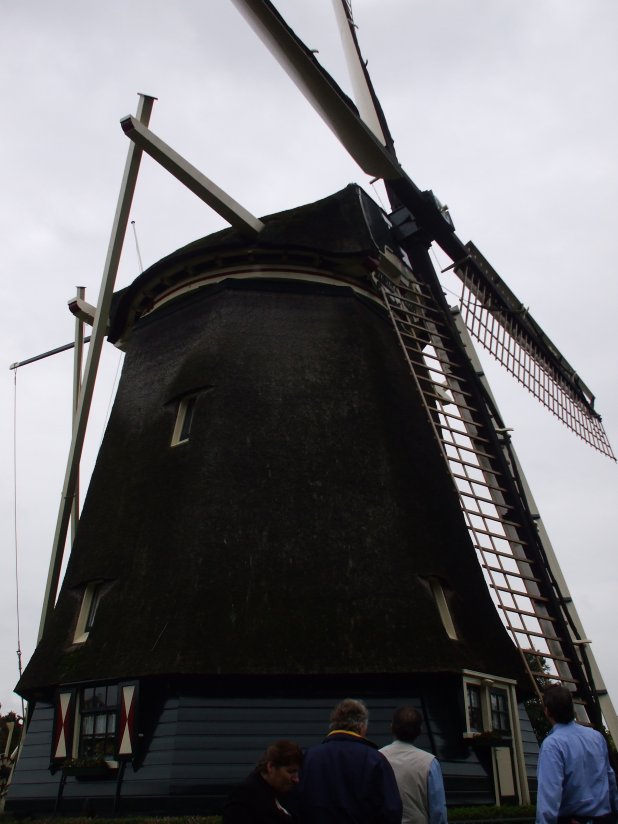 [Windmill+2.jpg]