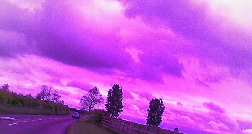 [purple-rain-prince.JPG]