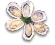 [pic_products_oyster01.jpg]