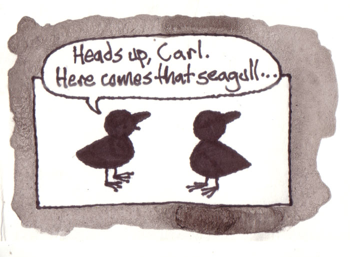 [crows-see-a-seagull.jpg]