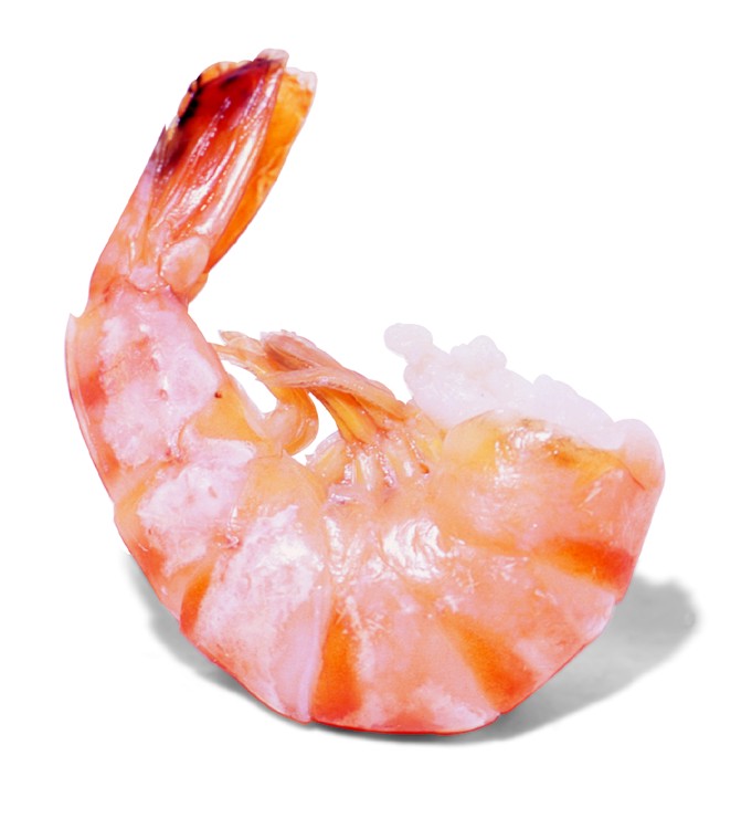 [Shrimp-picture.jpg]