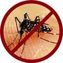 demam-berdarah-dengue